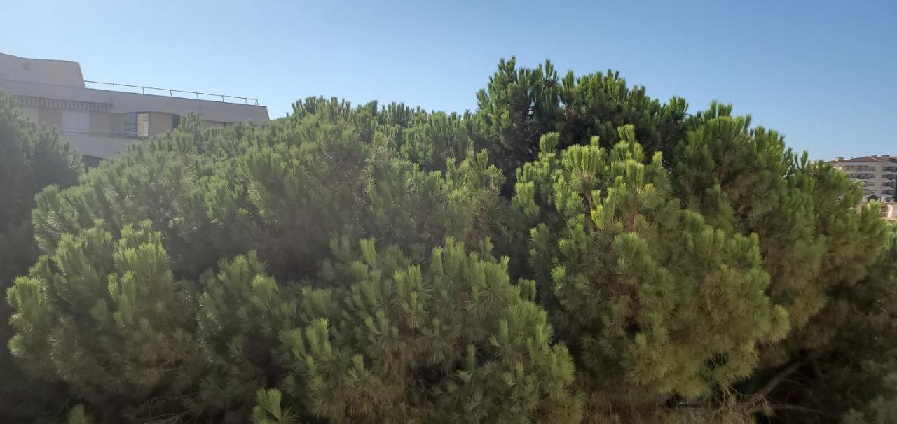 Frejus Plage La Miougrano, T2-3 49M2, 5 Personn エクステリア 写真